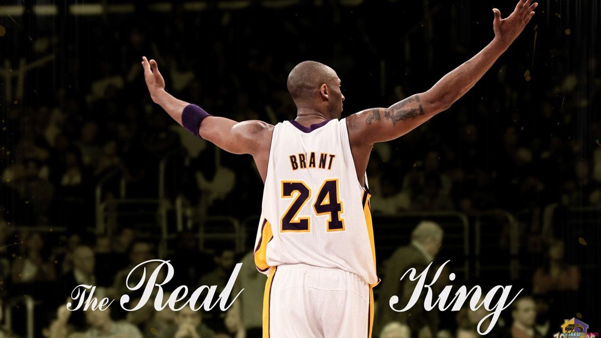 《英雄联盟》电竞场馆迎来新观众高潮,赛事气氛热烈,lol电竞比赛地点