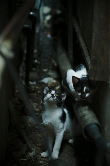 kaiyun网站-三线距离控制决定攻守平衡,三线原则是指什么什么线 第2张 kaiyun网站-三线距离控制决定攻守平衡,三线原则是指什么什么线 第2张